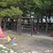 Il nostro piccolo parco - 06