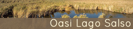 Oasi Lago Salso